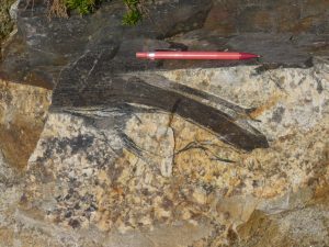 Country rock peeling off into a granite sheet