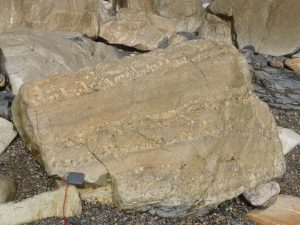 Pegmatite, granite, aplite, tourmaline layering in a fallen block