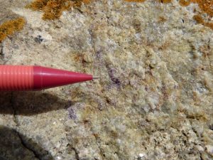 Fluorite within the Tregonning Granite
