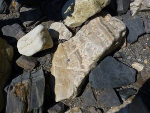 Complex layering within a fallen block on the beach
