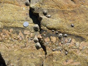 Pink alkali feldspar layered with tourmaline and granite