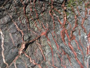 Calcite veining (white) with iron-rich vein edges in hornblende schist