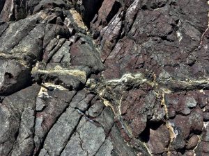 Calcite veins crosscutting the hornblende schist
