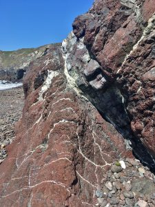 Calcite (white) stockwork in tremolite serpentinite