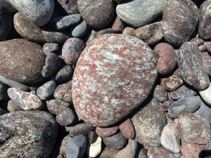 Tremolite serpentinite