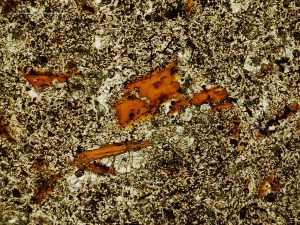 Thin section view of phlogopite micas with a fine-grained groundmass of plagioclase, iron oxides and apatite